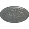Ekena Millwork Emeryville Ceiling Medallion, Hand-Painted Silver, 16 7/8"OD x 5/8"P CM16ERSLS - alternate 4